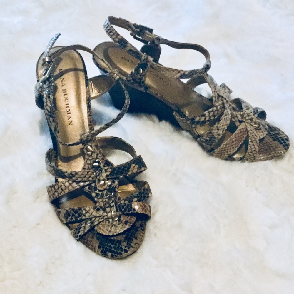 Dana Bachman Sandle